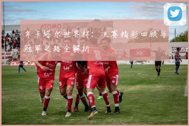 年卡塔尔世界杯：决赛精彩回顾与冠军之路全解析