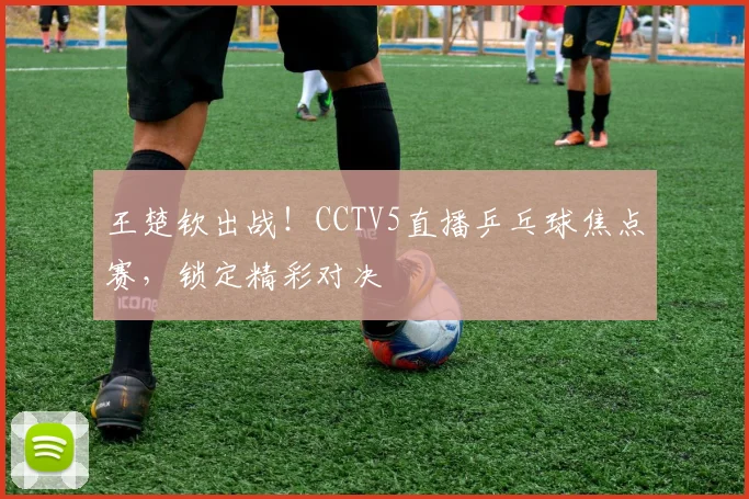王楚钦出战！CCTV5直播乒乓球焦点赛，锁定精彩对决